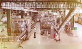 Hayel Saeed Anam group bolsters digital business processes with SAP