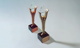 HSA Group, Yemen wins two Stevie Awards - awarded Gold for its response to COVID-19